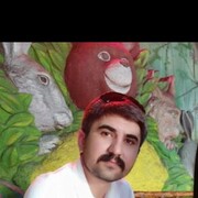 ���������� ����, ���� ������� Vusal, 41 ���, ������������ ��� ������, ����� � ���������