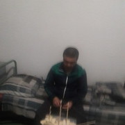 ���������� �������, ���� ������� Sardor, 48 ���, ������������ ��� ������, ����� � ���������, c�������� ���������