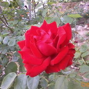  ,   , 48 ,   ,   , c 