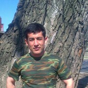  ,   AGSh, 43 ,   ,   , 