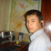  ,  temur, 33