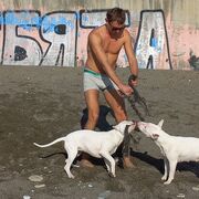 ���������� �����, ���� ������� �������, 38 ���, ������������ ��� c�������� ���������