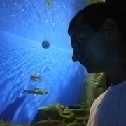 ���������� �������, ���� ������� �����, 35 ���, ������������ ��� ������, ����� � ���������, c�������� ���������