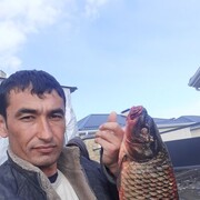 ���������� ���������, ���� ������� ������, 41 ���, ������������ ��� ������, ����� � ���������