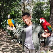 ���������� ������, ���� ������� ������, 45 ���, ������������ ��� ������, c�������� ���������, ���������