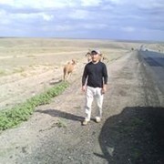  -,  Kairolla, 50