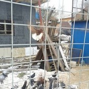  ,   , 56 ,   ,   , c 
