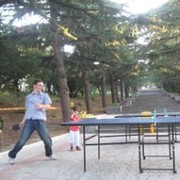  ,  irakli, 41