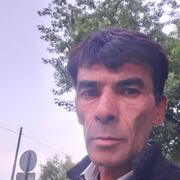  ,   Ulugbek, 50 ,   ,   