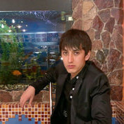 ���������� �������, ���� ������� Sarvar, 37 ���, ������������ ��� ������, ����� � ���������, c�������� ���������