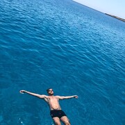 ���������� ������, ���� ������� ���������, 43 ����, ������������ ��� ������, ����� � ���������, c�������� ���������