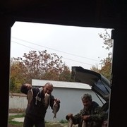  ,   , 55 ,   ,   , c 