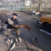  ,   , 57 ,   , c , 