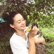 ���������� ������, ���� ������� ����, 31 ���, ������������ ��� ������, ����� � ���������