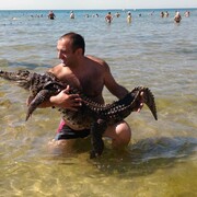 ���������� ������, ���� ������� �����, 45 ���, ������������ ��� ������, ����� � ���������