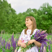 ���������� ����, ���� ������� ����, 36 ���, ������������ ��� ������, ����� � ���������, c�������� ���������, ���������