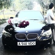 ���������� �������, ���� ������� Amin, 40 ���, ������������ ��� ������, ����� � ���������