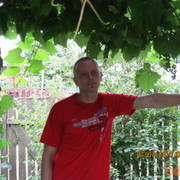  ,   , 51 ,   ,   , c 