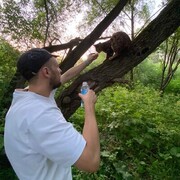 ���������� ������, ���� ������� �����, 41 ���, ������������ ��� ������, ����� � ���������