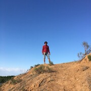 ���������� ���������, ���� ������� ����, 32 ����, ������������ 