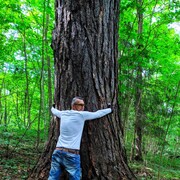  ,   , 57 ,   ,   , c , 