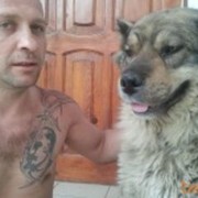  ,   , 54 ,   