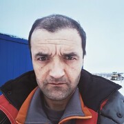  ,  , 41