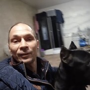 ���������� ���������, ���� ������� ������, 49 ���, ������������ ��� ������, ����� � ���������