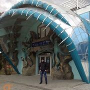 ���������� �����������, ���� ������� �������, 43 ����, ������������ ��� ����� � ���������, c�������� ���������