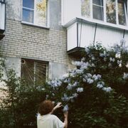 ���������� ���������, ���� ����� ������, 21 ���, ������������ ��� ������, ����� � ���������