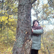 ���������� ��������, ���� ������� ����, 53 ����, ������������ ��� ������, ����� � ���������, c�������� ���������