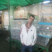 ���������� �������, ���� ������� ������, 36 ���, ������������ ��� ������, ����� � ���������, c�������� ���������