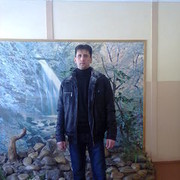  ,   STALONE43, 55 ,     , c 