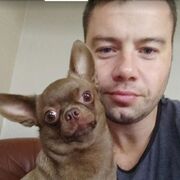 ���������� �����-���������, ���� ������� ���������, 42 ����, ������������ ��� ����� � ���������, c�������� ���������