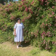  ,   , 58 ,   ,   