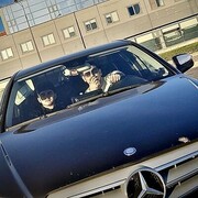 ���������� �����-���������, ���� ������� ����, 30 ���, ������������ ��� ������, ����� � ���������