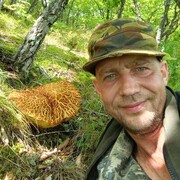 ���������� ����������, ���� ������� Saimon, 37 ���, ������������ ��� ������, ����� � ���������