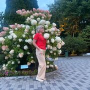 ���������� �����������, ���� ������� �����, 57 ���, ������������ ��� ������, ����� � ���������, c�������� ���������