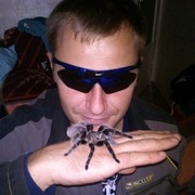 ���������� ����, ���� ������� ������������, 42 ����, ������������ ��� ������