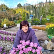  ,   , 58 ,     , c 