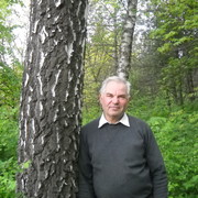  ,   Pico, 64 ,   ,   , c 