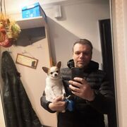 ���������� �����-���������, ���� ������� Vladis, 49 ���, ������������ ��� ������, ����� � ���������, c�������� ���������