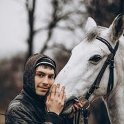 ���������� ��������������, ���� ����� ���������, 21 ���, ������������ ��� ������, ����� � ���������, c�������� ���������