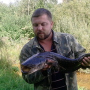 ���������� �����, ���� ������� ����, 44 ����, ������������ ��� ������, ����� � ���������, c�������� ���������