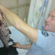  ,  Aleks, 53