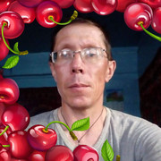   ,  , 48
