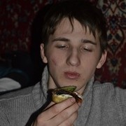  ,   , 32 ,   