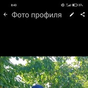  ,  , 61