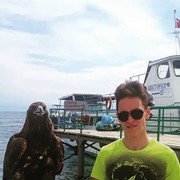  ,   , 34 ,   