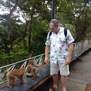 ���������� �����-���������, ���� ������� ������, 55 ���, ������������ ��� ������, ����� � ���������, c�������� ���������, ���������